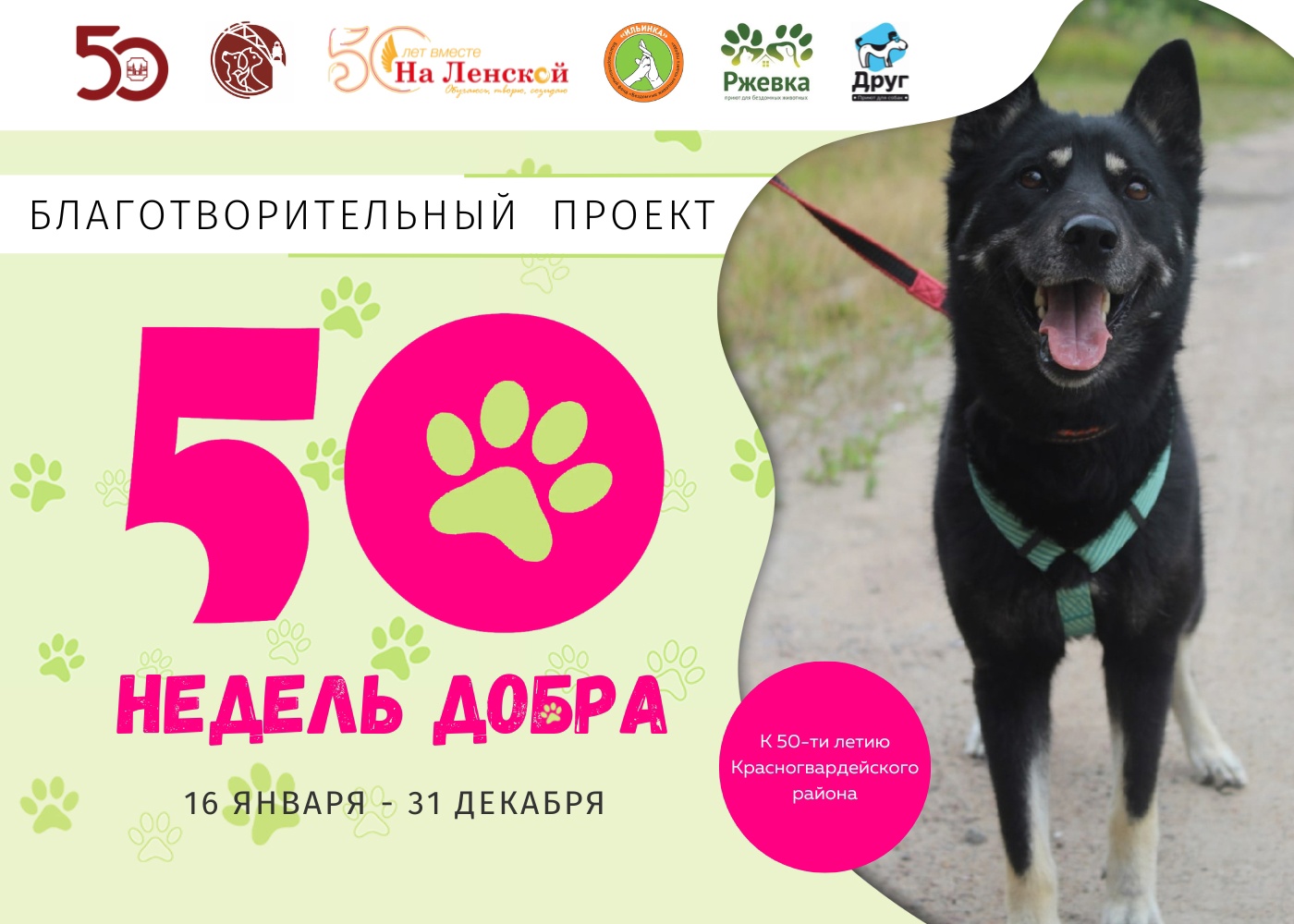 Благотворительная акция «50 недель добра»